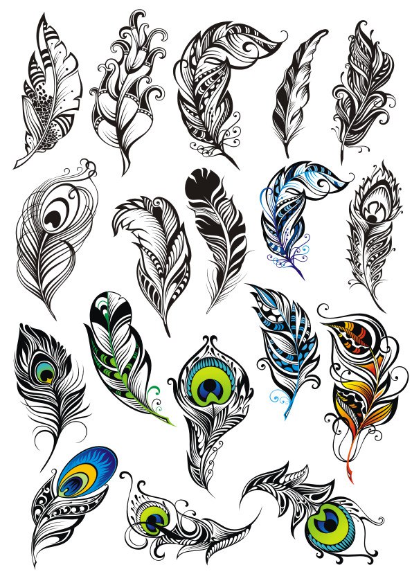 Peacock Feather Vector Set Free Vector Cdr Free Download Vector 595x842 Peacock Feather Vector Set Free Vector Cdr Free Download Vector