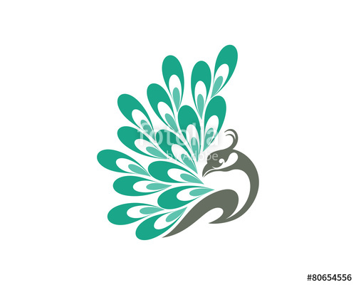Beauty Peacock Logo Vector Stock Image And Royalty Free Vector 500x400 Beauty Peacock Logo Vector Stock Image And Royalty Free Vector