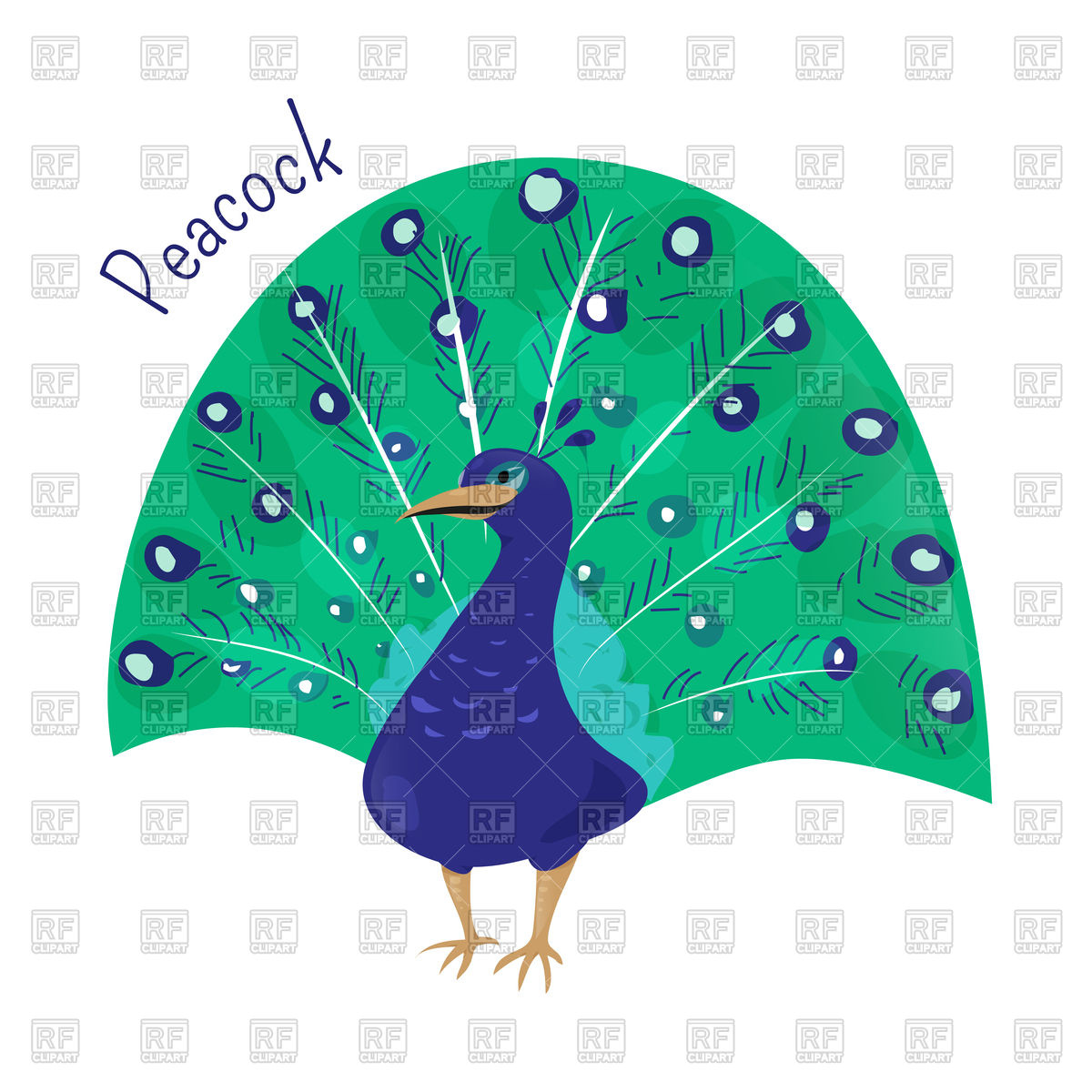 Cartoon Peacock Isolated On White Vector Image Of Plants 1200x1200 Cartoon Peacock Isolated On White Vector Image Of Plants