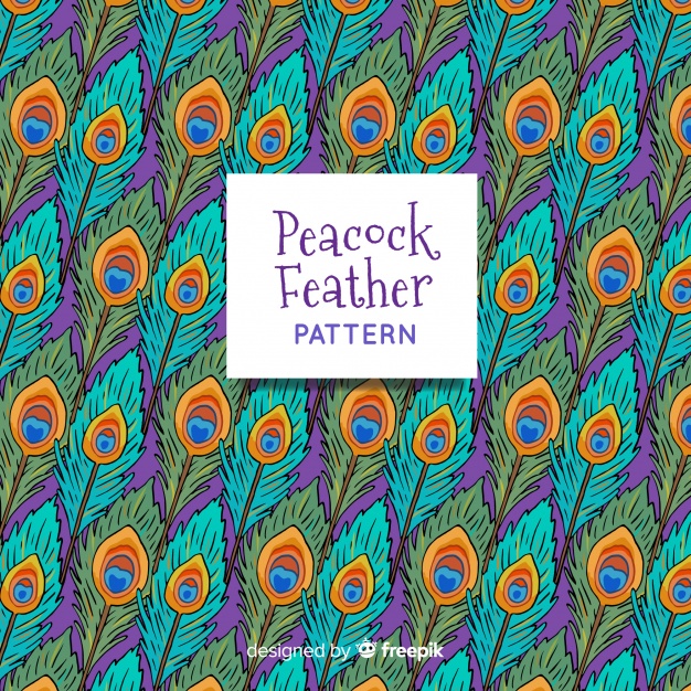 626x626 Peacock Feather Pattern Vector Free Download