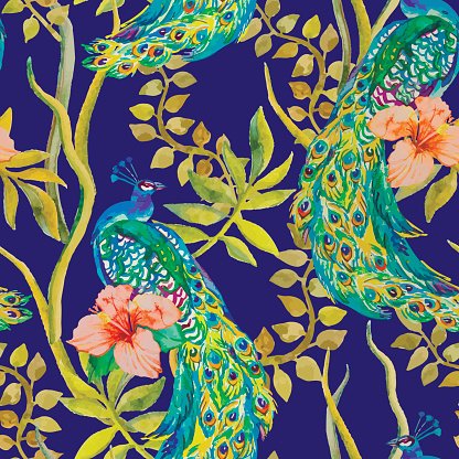 416x416 Beautiful Peacock Peacocks And Plants, Tropical Flowers,hibiscus