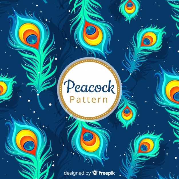 626x626 Decorative Peacock Feather Pattern Vector Free Download