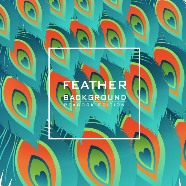 626x626 Feather Peacock Pattern Vector Background Vector Premium Download
