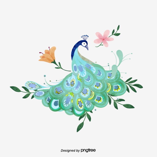 640x640 Peacock Png, Vector, And Clipart With Transparent Background