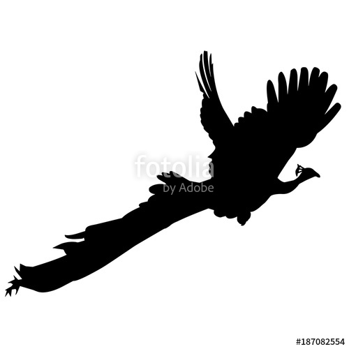 500x500 Peacock Silhouette Vector Graphics Stock Image And Royalty Free