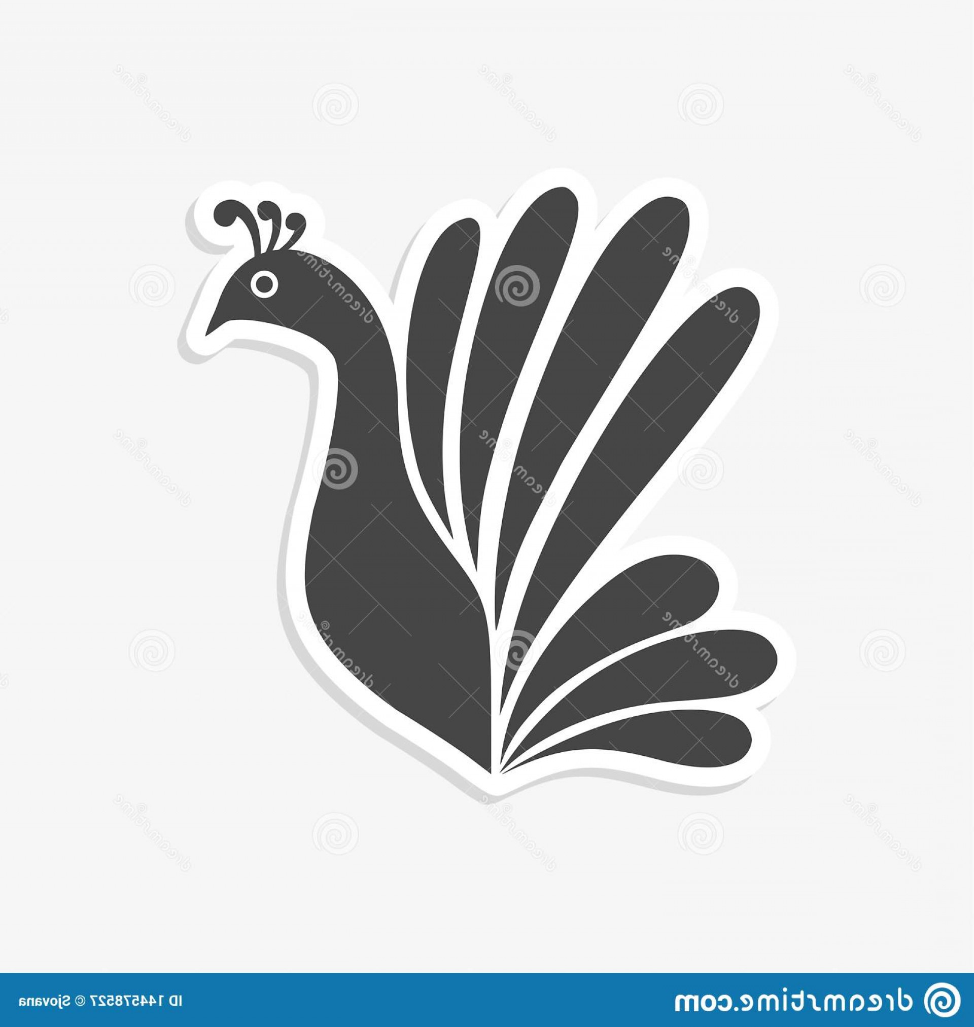 1920x2026 Peacock Vector Catchsplace
