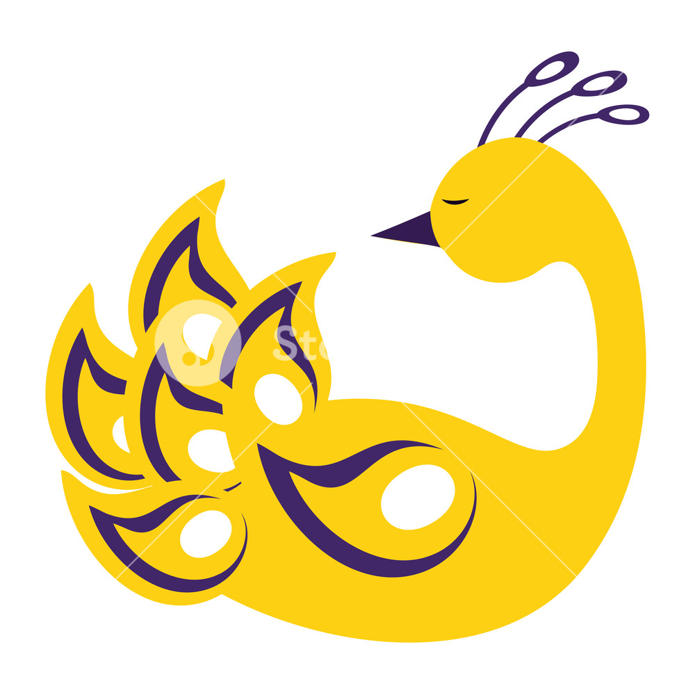 1000x1000 Peacock Colorful Silhouette Symbol Vector Illustration Graphic