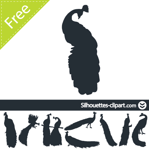 500x500 Peacock Vector Silhouette On Wacom Gallery