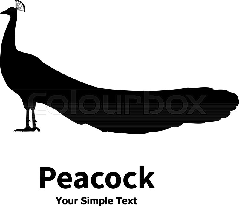 800x692 Vector Illustration Of A Silhouette Of Stock Vector Colourbox