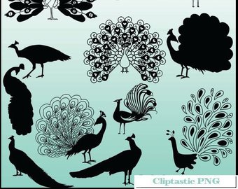 340x270 Huge Collection Of 'peacock Silhouette' Download More Than