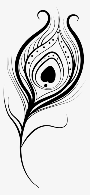 300x650 Feather Vector Png, Transparent Feather Vector Png Image Free