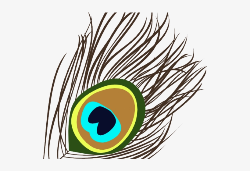 820x561 Peacock Clipart Peacock Tail