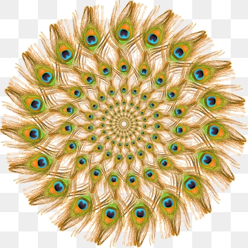 360x360 Peacock Feather Png, Vector, And Clipart With Transparent