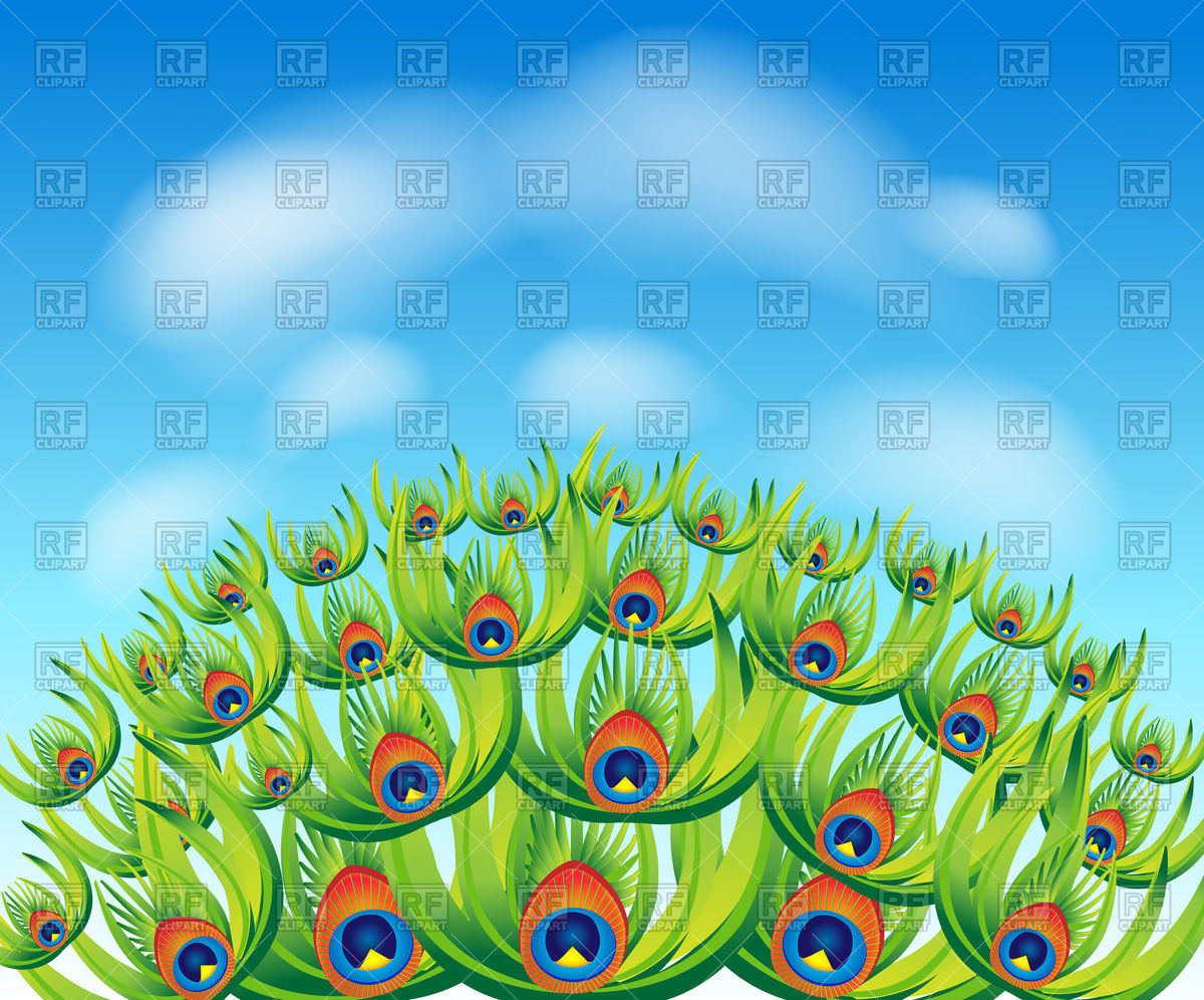 1200x996 Abstract Peacock Tail Background Vector Image Of Backgrounds