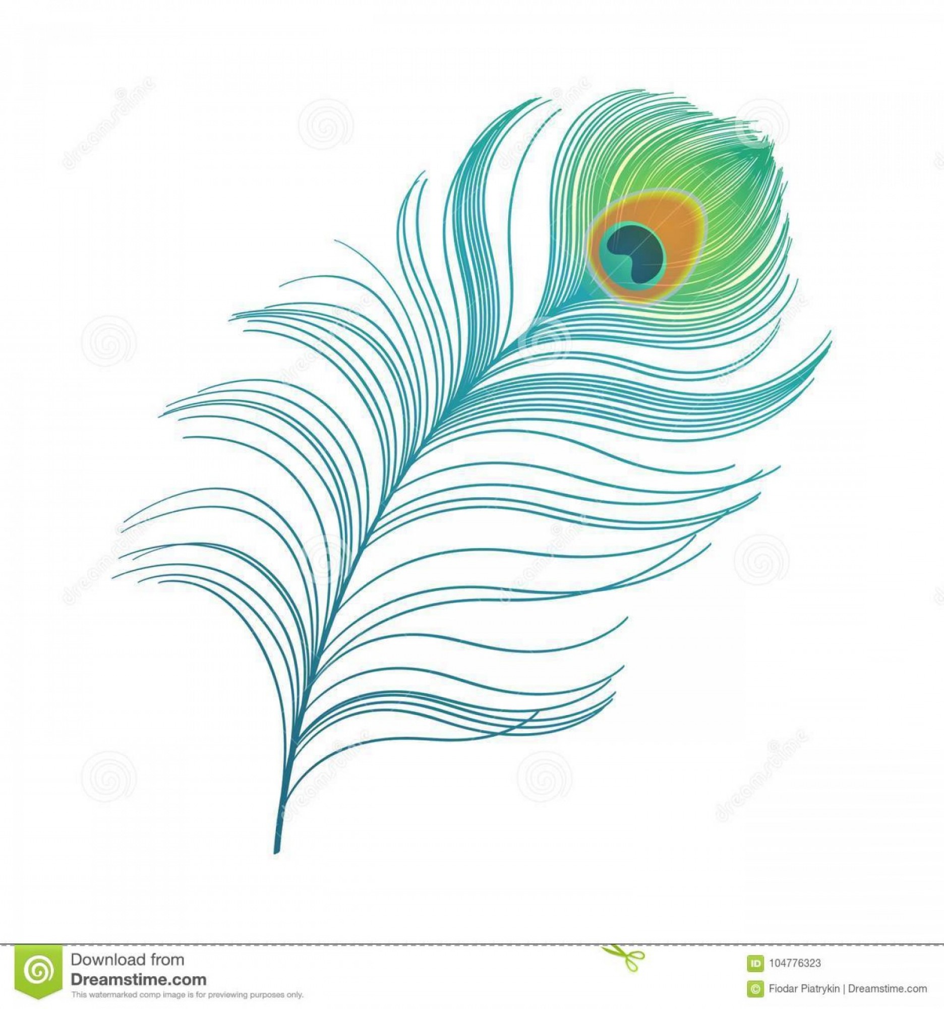 1872x2001 Peacock Feather Vector Catamart