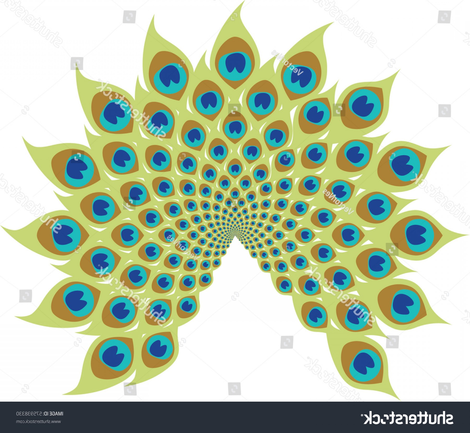 1800x1656 Stylized Peacock Feathers Vector Feather Design Soidergi