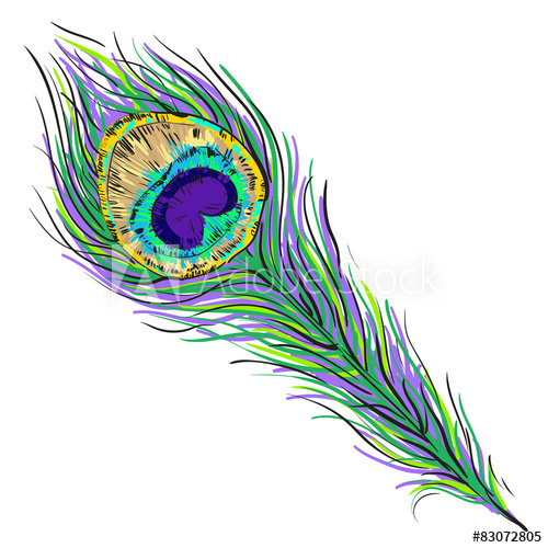 Peacock Tail Vector at Vectorified.com | Collection of Peacock Tail ...