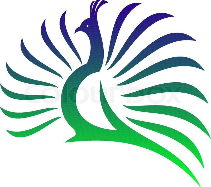 800x711 Beautiful Stylised Vector Peacock Stock Vector Colourbox