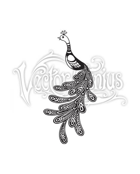 468x580 High Resolution Ornate Cute Peacock Feather Bird Clip Art Stock