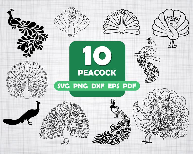 794x635 Peacock Peacock Peacock Clipart Peacock Silhouette Etsy