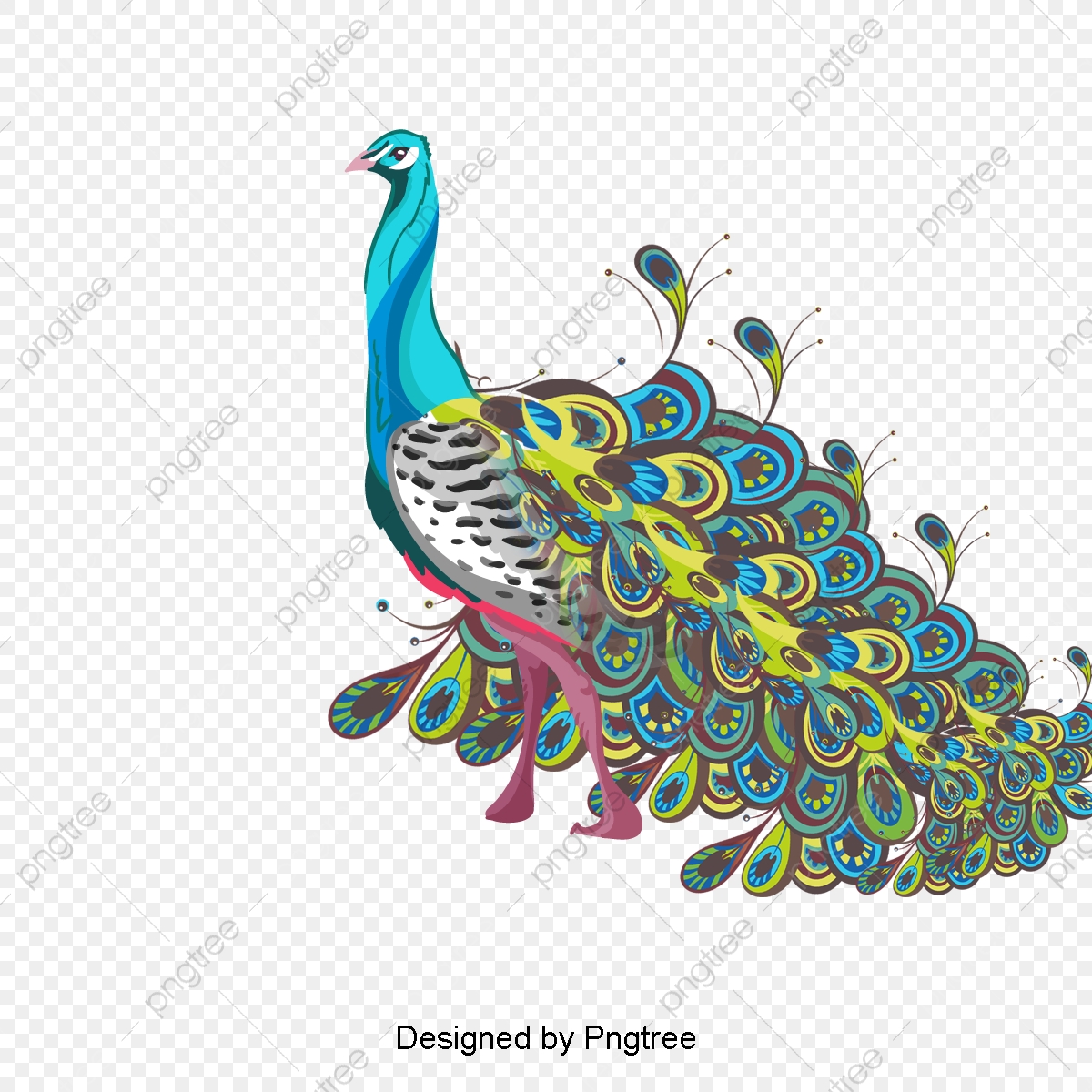 1200x1200 Peacock, Peacock Vector, Flower Png And Vector With Transparent