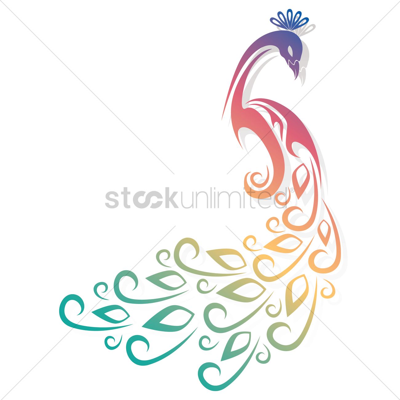 1300x1300 Peacock Vector Image