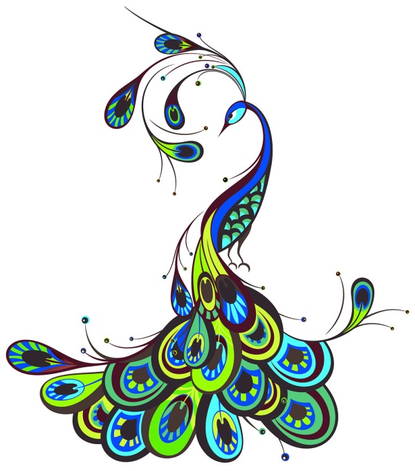 600x680 Peacock Beautiful Vector Free Download