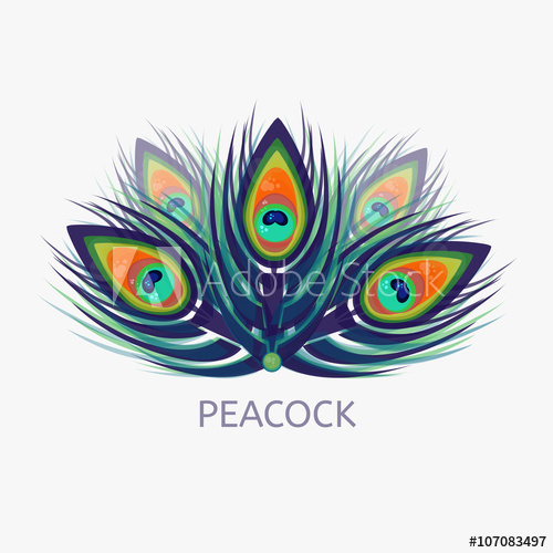 500x500 Peacock Logo In Low Polygon Style Peacock Vector Logo And Label