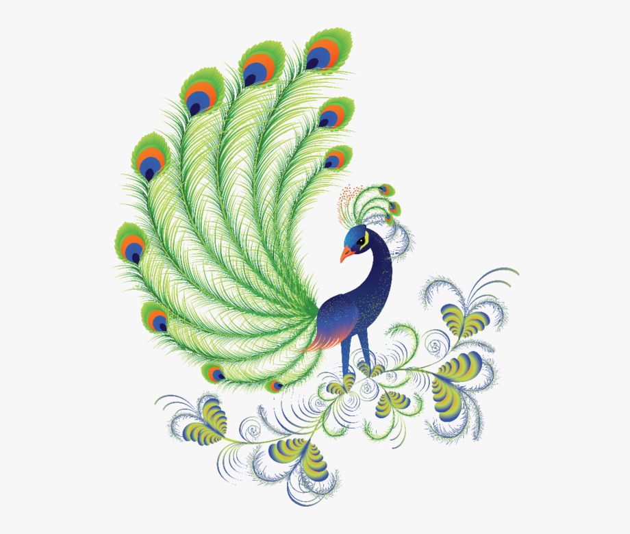 920x780 Peafowl Clipart Body