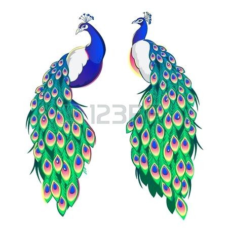 450x450 Peacock Cartoon Images