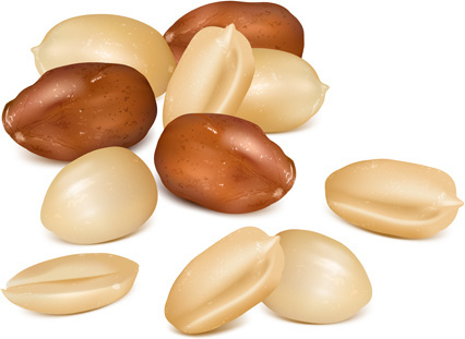 426x311 Free Vector Peanut Butter Free Vector Download