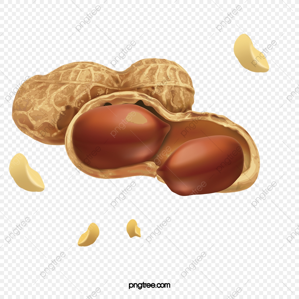 1200x1200 Peanut Vector Hd Photo, Peanut, Nut, Delicious Png Transparent