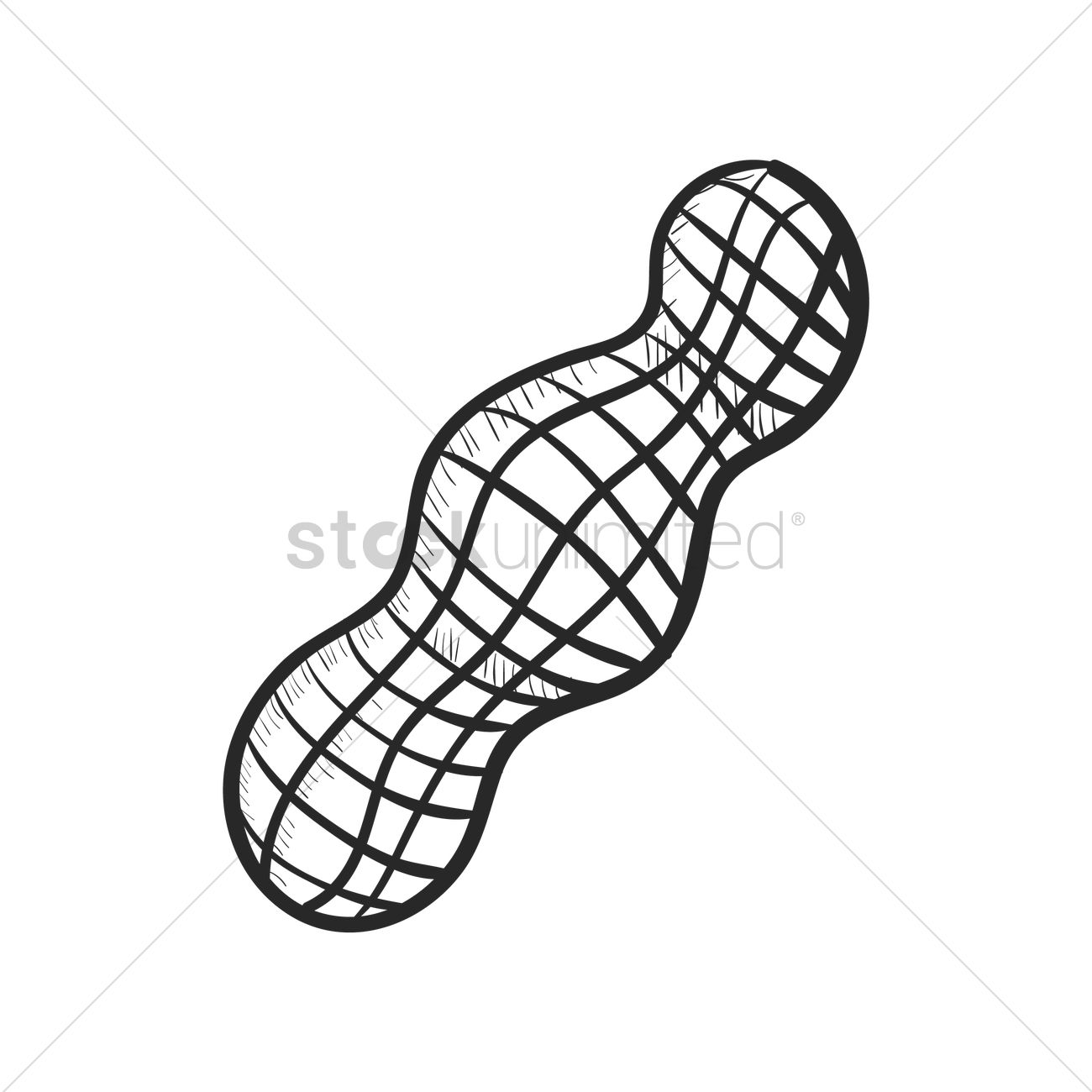 1300x1300 Peanut Vector Image