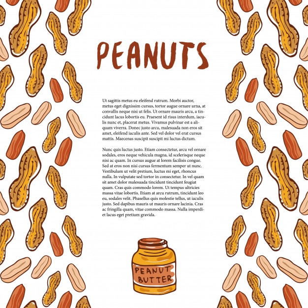 Peanut Vector at Vectorified.com | Collection of Peanut Vector free for ...