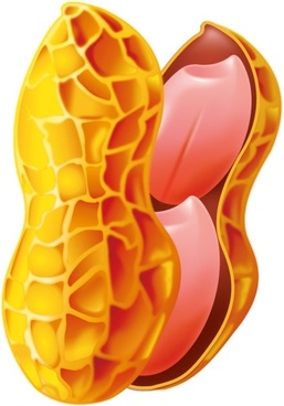 257x368 Peanut Free Vector Download