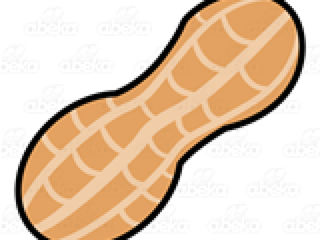 640x480 Peanut Vector Clipart Images Gallery For Free Download Myreal