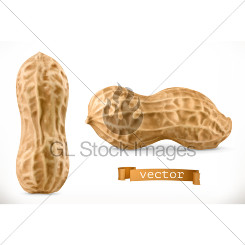 500x500 Peanut Vector Realistic Icon Gl Stock Images