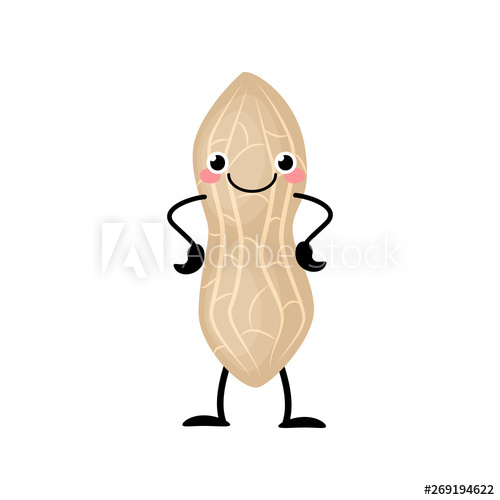 500x500 Cute Cartoon Peanut Vector Illustration Isolated On White