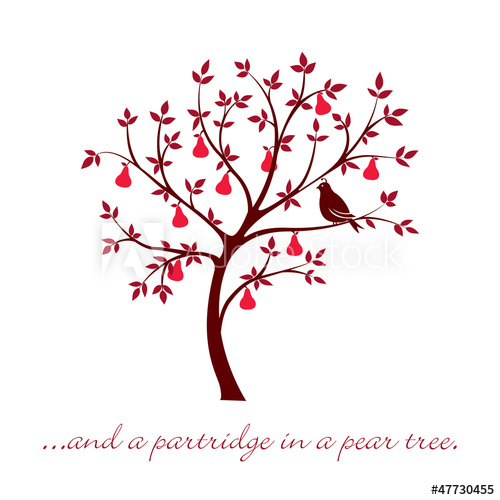 500x500 Partridge In A Pear Tree Christmas Card In Vector Format