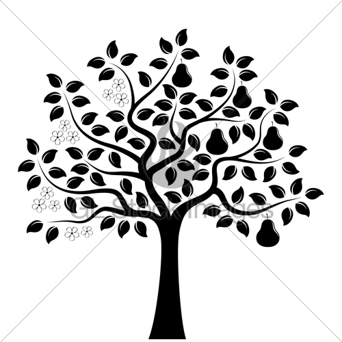 Pear Tree Vector at Collection of Pear Tree Vector
