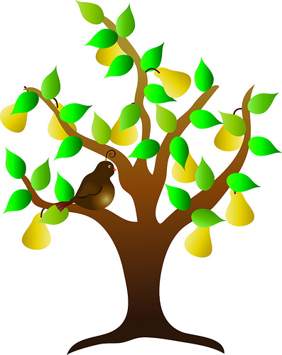 397x500 Pear Tree Clipart Png And Cliparts For Free Download