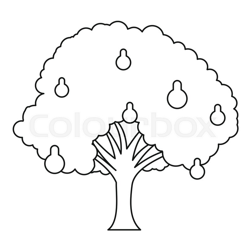 800x800 Pear Tree Icon Outline Illustration Stock Vector Colourbox