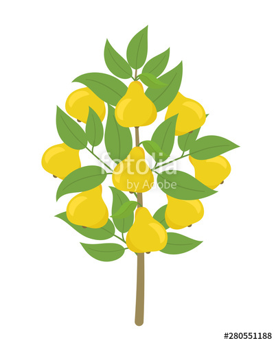 402x500 Pear Tree Vector Illustration Fruit Tree Plant Flat Vector