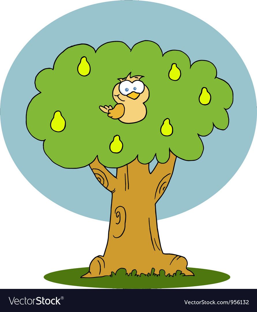 891x1080 Coloring Pear Trees, Pear, Partridge