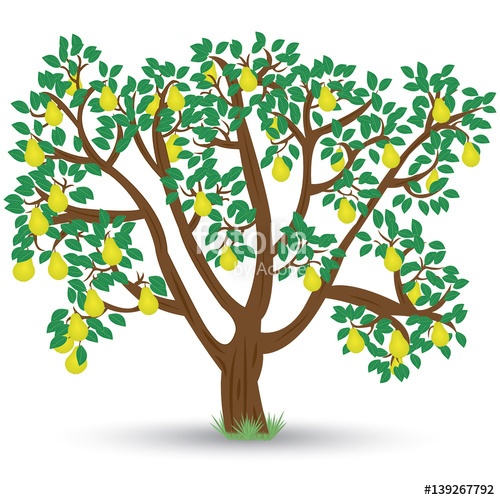 Old Pear Tree With Ripe Pears On A White Background Vector 500x500 Old Pear Tree With Ripe Pears On A White Background Vector