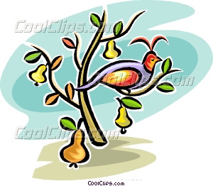 Partridge In A Pear Tree Vector Clip Art 300x262 Partridge In A Pear Tree Vector Clip Art