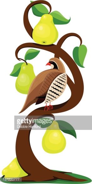 Partridge In A Pear Tree Vector Holiday 293x585 Partridge In A Pear Tree Vector Holiday