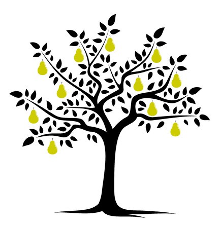 431x450 Vector Pear Tree Isolated On White Background Royalty Free Vector