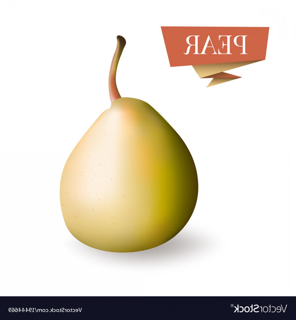 1200x1296 Isolated Picture Of Pear Fruit D Pear Vector Soidergi