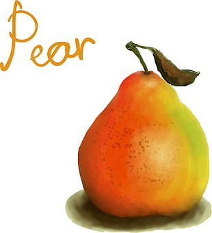 310x340 Painted Pear Vector Free Graphics Uihere